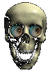 taniskull.gif